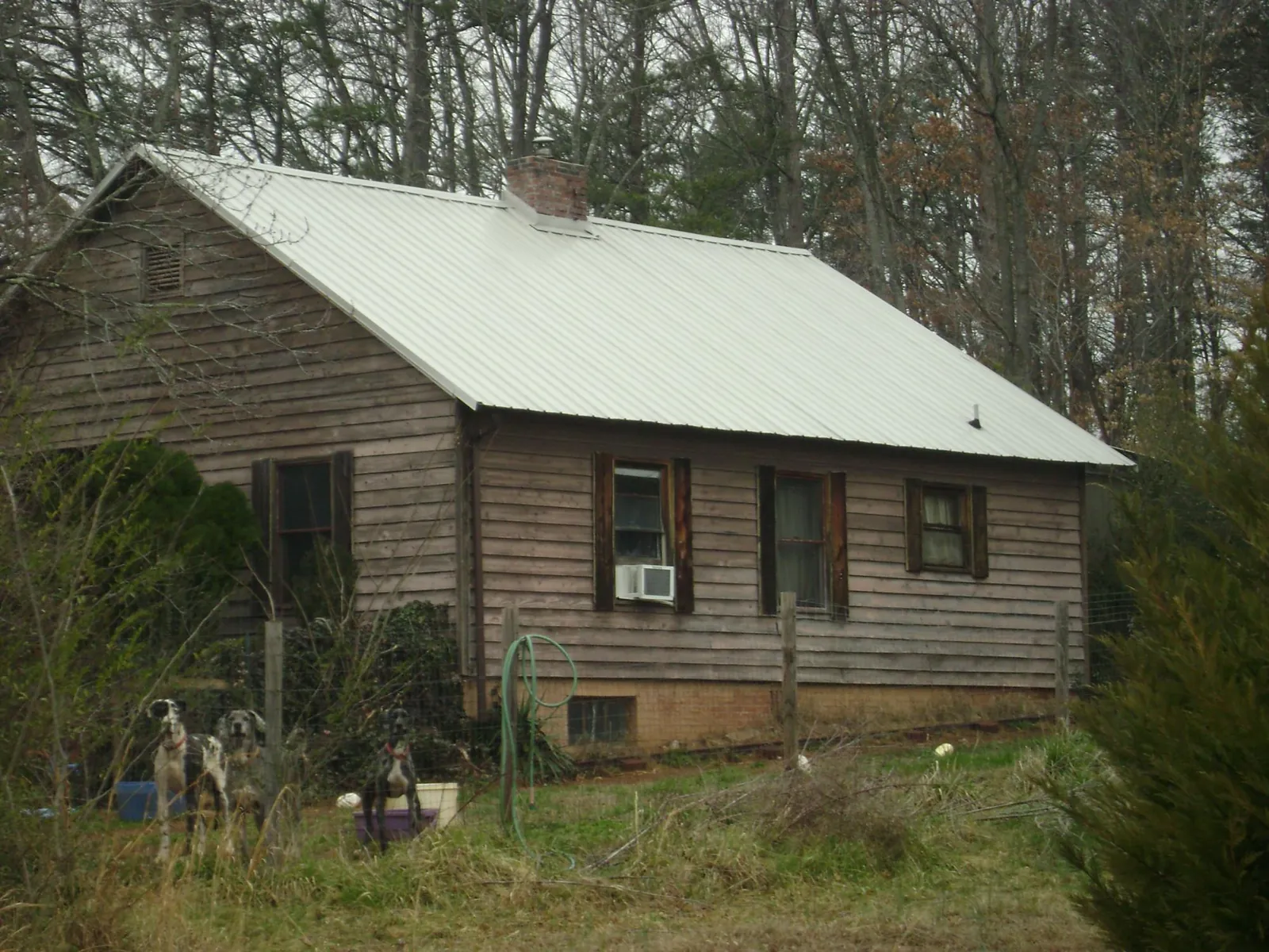 White metal roof on an old wood sided farmhouse, from a Metal Roof Installation job in Briggsdale